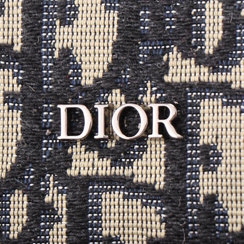 Christian Dior Saddle Bags